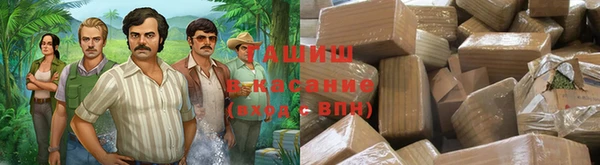 шишки Мегион