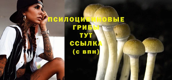 шишки Мегион