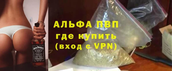 шишки Мегион