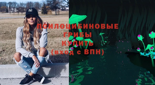 хмурый Апатиты