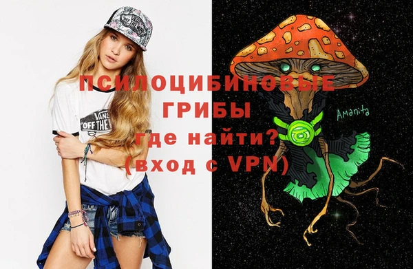 шишки Мегион