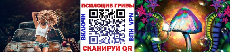 Псилоцибиновые грибы мицелий  mega ССЫЛКА  Медынь  купить наркотики цена 